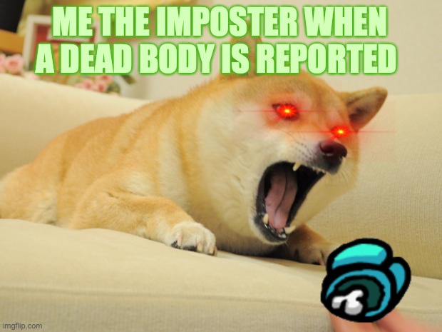 ANGRY DOGE | ME THE IMPOSTER WHEN A DEAD BODY IS REPORTED | image tagged in angry doge | made w/ Imgflip meme maker