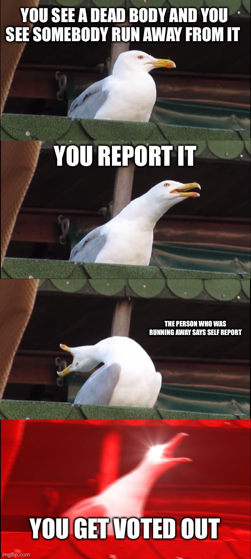 Inhaling Seagull | YOU SEE A DEAD BODY AND YOU SEE SOMEBODY RUN AWAY FROM IT; YOU REPORT IT; THE PERSON WHO WAS RUNNING AWAY SAYS SELF REPORT; YOU GET VOTED OUT | image tagged in memes,inhaling seagull | made w/ Imgflip meme maker