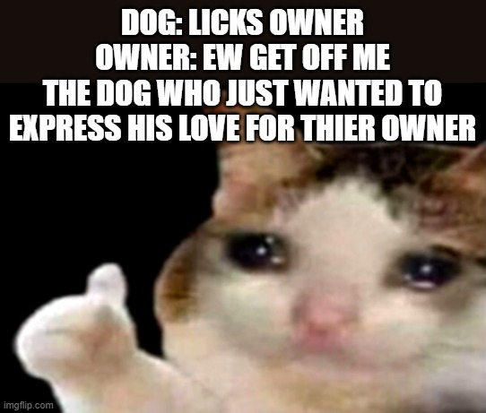 Sad cat thumbs up | DOG: LICKS OWNER
OWNER: EW GET OFF ME
THE DOG WHO JUST WANTED TO EXPRESS HIS LOVE FOR THIER OWNER | image tagged in sad cat thumbs up,dog | made w/ Imgflip meme maker