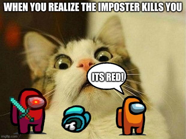 Scared Cat Meme | WHEN YOU REALIZE THE IMPOSTER KILLS YOU; ITS RED! | image tagged in memes,scared cat | made w/ Imgflip meme maker