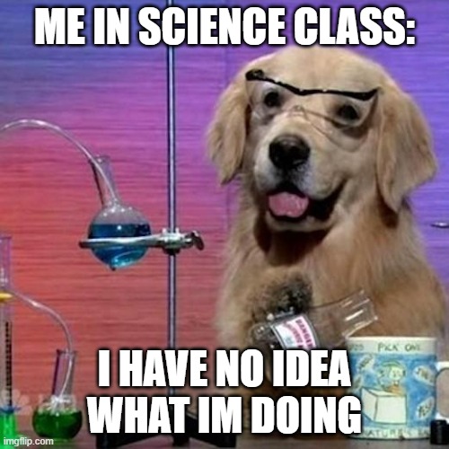 I Have No Idea What I Am Doing Dog Meme | ME IN SCIENCE CLASS:; I HAVE NO IDEA WHAT IM DOING | image tagged in memes,i have no idea what i am doing dog | made w/ Imgflip meme maker