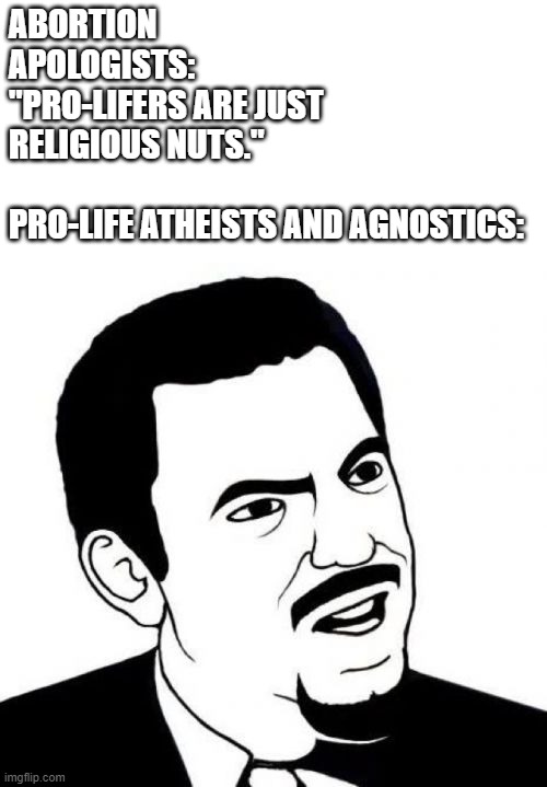 What if -- hear me out -- people actually care about unborn lives? | ABORTION APOLOGISTS: "PRO-LIFERS ARE JUST RELIGIOUS NUTS."
 
PRO-LIFE ATHEISTS AND AGNOSTICS: | image tagged in memes,seriously face | made w/ Imgflip meme maker