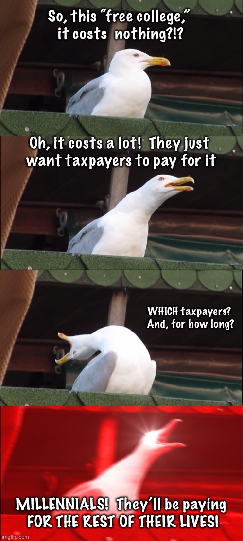 Inhaling Seagull | So, this “free college,” 
it costs  nothing?!? Oh, it costs a lot!  They just 
want taxpayers to pay for it; WHICH taxpayers?  And, for how long? MILLENNIALS!  They’ll be paying
 FOR THE REST OF THEIR LIVES! | image tagged in memes,inhaling seagull | made w/ Imgflip meme maker