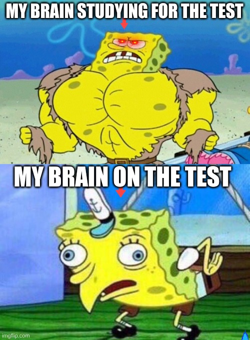 Lol | MY BRAIN STUDYING FOR THE TEST; MY BRAIN ON THE TEST | image tagged in funny | made w/ Imgflip meme maker