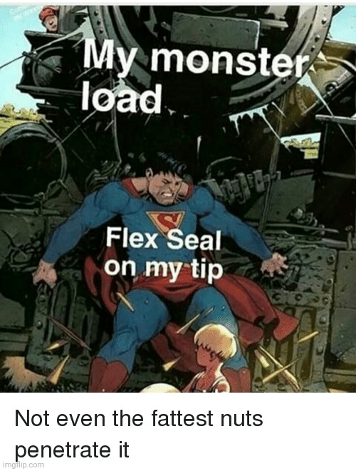 image tagged in flex seal | made w/ Imgflip meme maker