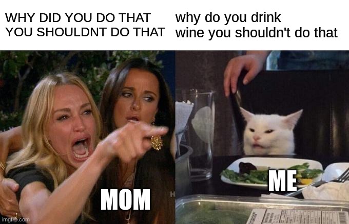 Woman Yelling At Cat Meme Imgflip