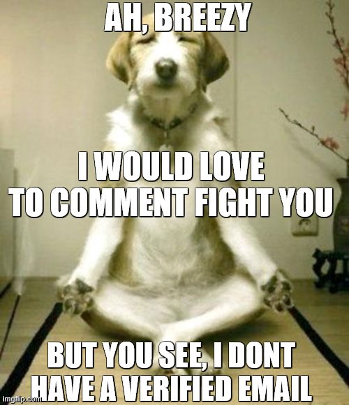 Sorry breezy (: | AH, BREEZY; I WOULD LOVE TO COMMENT FIGHT YOU; BUT YOU SEE, I DONT HAVE A VERIFIED EMAIL | image tagged in inner peace dog | made w/ Imgflip meme maker