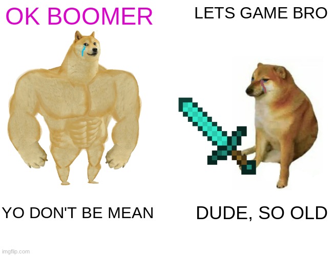 OK BOOMERRRRR | OK BOOMER; LETS GAME BRO; YO DON'T BE MEAN; DUDE, SO OLD | image tagged in memes,buff doge vs cheems | made w/ Imgflip meme maker