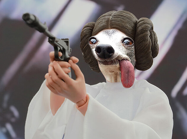 That ONE Cosplayer Blank Meme Template