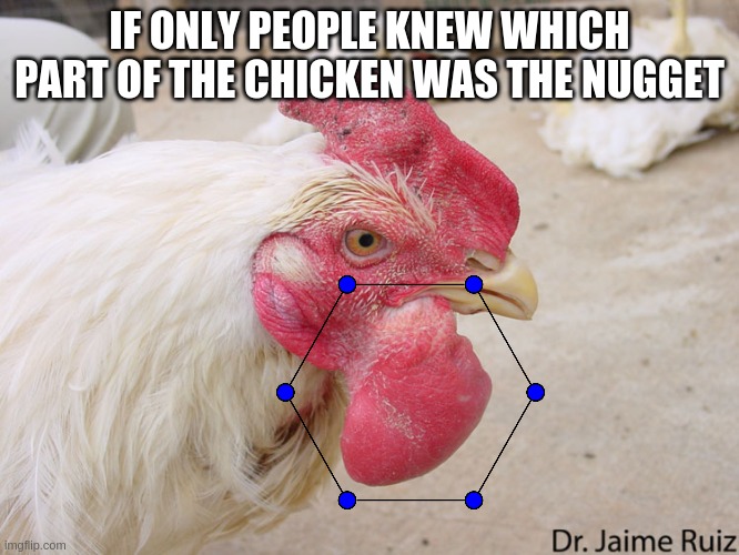 I'll take mine with honey mustard sauce, thank you. | IF ONLY PEOPLE KNEW WHICH PART OF THE CHICKEN WAS THE NUGGET | image tagged in chicken nuggets | made w/ Imgflip meme maker