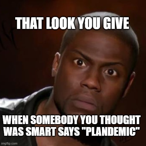 When somebody says "plandemic" | THAT LOOK YOU GIVE; WHEN SOMEBODY YOU THOUGHT WAS SMART SAYS "PLANDEMIC" | image tagged in that look you give,plandemic | made w/ Imgflip meme maker