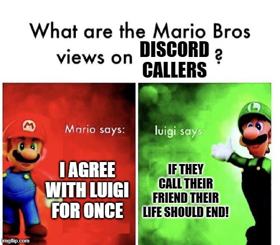 Luigi's right | DISCORD CALLERS; I AGREE WITH LUIGI FOR ONCE; IF THEY CALL THEIR FRIEND THEIR LIFE SHOULD END! | image tagged in mario bros views,memes,funny | made w/ Imgflip meme maker