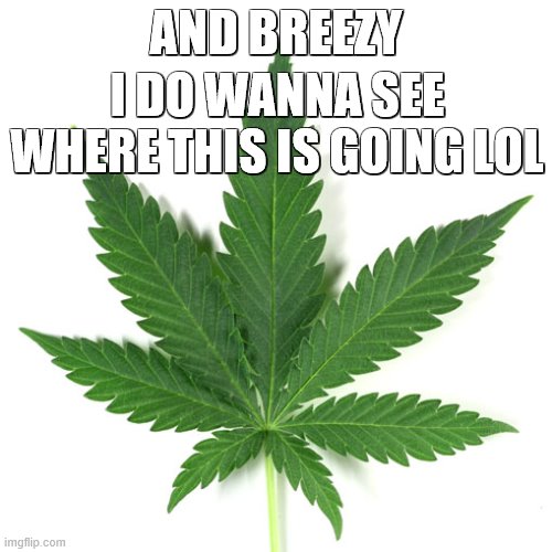 yall still havnt meantioned my name ): | AND BREEZY; I DO WANNA SEE WHERE THIS IS GOING LOL | image tagged in marijuana leaf | made w/ Imgflip meme maker