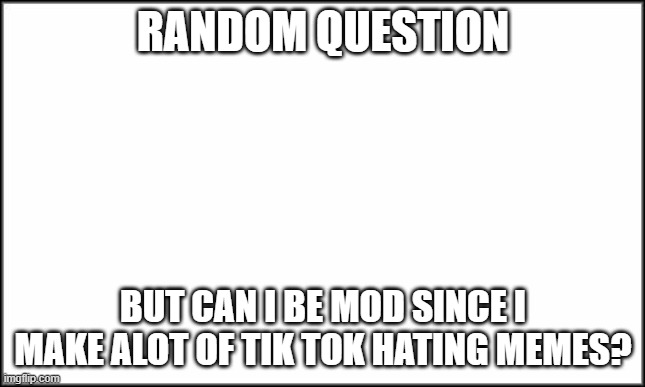 I am just wondering | RANDOM QUESTION; BUT CAN I BE MOD SINCE I MAKE ALOT OF TIK TOK HATING MEMES? | image tagged in plain white | made w/ Imgflip meme maker