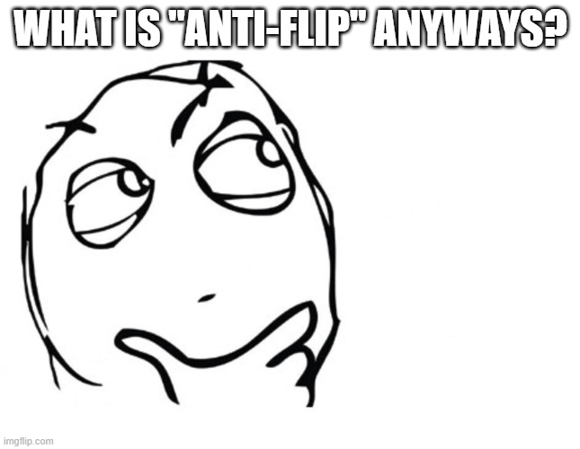 i'm just curious someone please explain it to me | WHAT IS "ANTI-FLIP" ANYWAYS? | image tagged in hmmm,antiflip,what | made w/ Imgflip meme maker