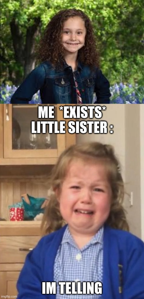 when i get that sibling that i whanted | ME  *EXISTS*


LITTLE SISTER :; IM TELLING | image tagged in lol | made w/ Imgflip meme maker