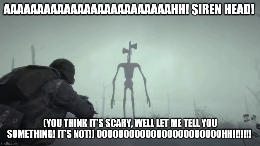 OOOH SCARY (not) | AAAAAAAAAAAAAAAAAAAAAAAAAHH! SIREN HEAD! (YOU THINK IT'S SCARY, WELL LET ME TELL YOU SOMETHING! IT'S NOT!) OOOOOOOOOOOOOOOOOOOOOOOHH!!!!!!! | image tagged in oooh scary not | made w/ Imgflip meme maker