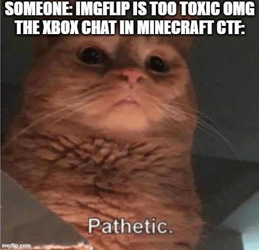 EVERY FIVE SECONDS SOMEONE SAYS A SWEAR WORD | SOMEONE: IMGFLIP IS TOO TOXIC OMG
THE XBOX CHAT IN MINECRAFT CTF: | image tagged in pathetic cat | made w/ Imgflip meme maker