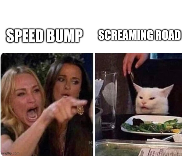 Lady screams at cat | SCREAMING ROAD; SPEED BUMP | image tagged in lady screams at cat | made w/ Imgflip meme maker