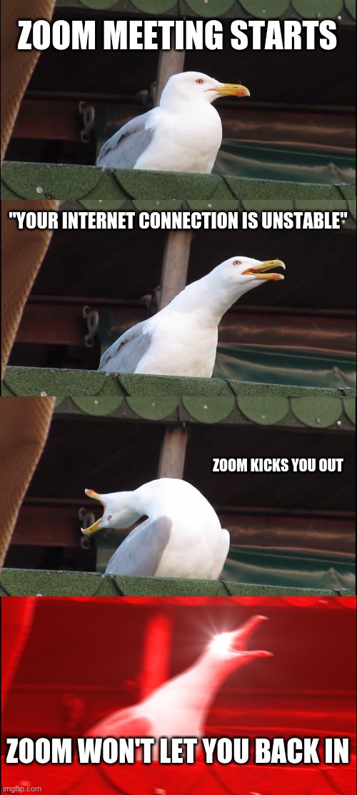 zoom memes | ZOOM MEETING STARTS; "YOUR INTERNET CONNECTION IS UNSTABLE"; ZOOM KICKS YOU OUT; ZOOM WON'T LET YOU BACK IN | image tagged in memes,zoom | made w/ Imgflip meme maker