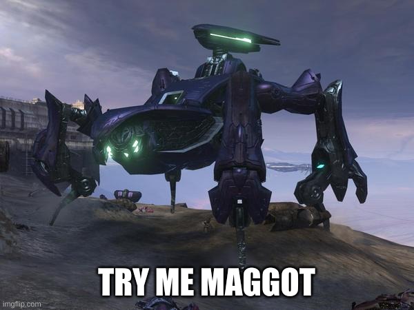 Scarab | TRY ME MAGGOT | image tagged in scarab | made w/ Imgflip meme maker