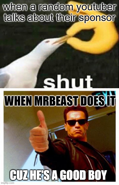if you disagree you dead wrong |  when a random youtuber talks about their sponsor; WHEN MRBEAST DOES IT; CUZ HE'S A GOOD BOY | image tagged in terminator thumbs up,shut | made w/ Imgflip meme maker