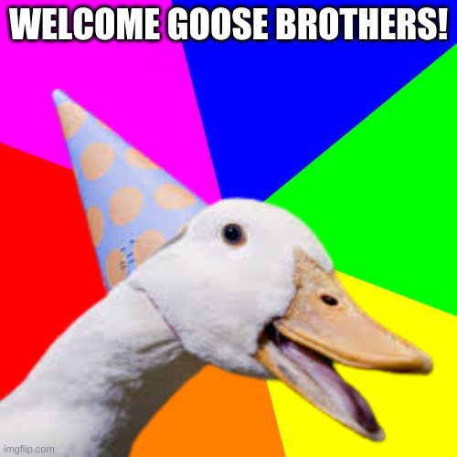 welcome goose brothers! | WELCOME GOOSE BROTHERS! | made w/ Imgflip meme maker