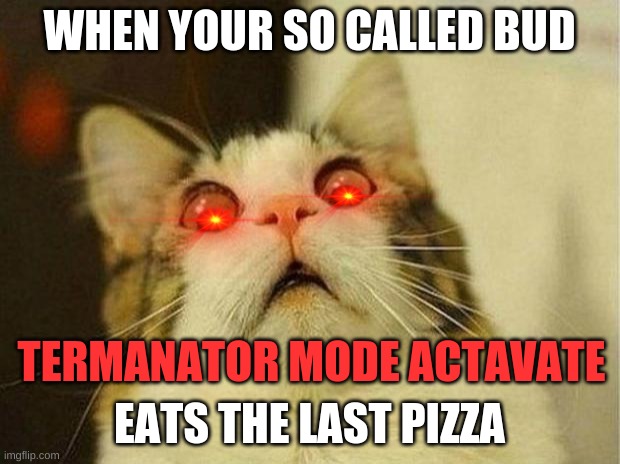 Scared Cat Meme | WHEN YOUR SO CALLED BUD; TERMANATOR MODE ACTAVATE; EATS THE LAST PIZZA | image tagged in memes,scared cat | made w/ Imgflip meme maker