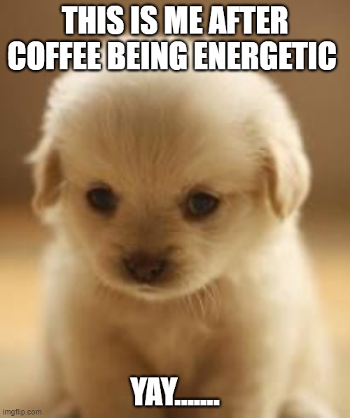 coffee caffeine rush | THIS IS ME AFTER COFFEE BEING ENERGETIC; YAY....... | image tagged in funny memes | made w/ Imgflip meme maker