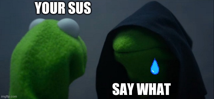 Evil Kermit | YOUR SUS; SAY WHAT | image tagged in memes,evil kermit | made w/ Imgflip meme maker