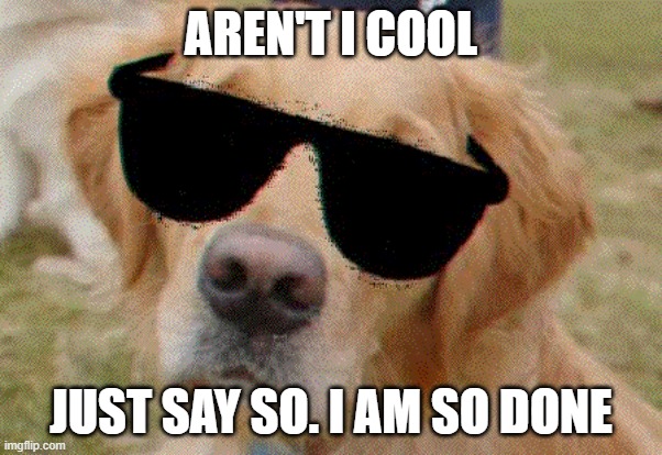 Cool | AREN'T I COOL; JUST SAY SO. I AM SO DONE | image tagged in funny stuff | made w/ Imgflip meme maker