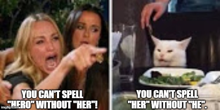 YOU CAN'T SPELL "HER" WITHOUT "HE". YOU CAN'T SPELL "HERO" WITHOUT "HER"! | image tagged in lady screams at cat,cats | made w/ Imgflip meme maker