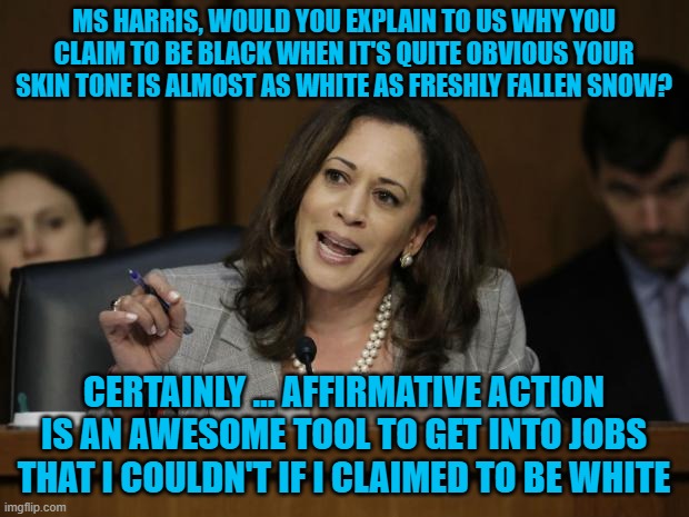 Kamala Harris | MS HARRIS, WOULD YOU EXPLAIN TO US WHY YOU CLAIM TO BE BLACK WHEN IT'S QUITE OBVIOUS YOUR SKIN TONE IS ALMOST AS WHITE AS FRESHLY FALLEN SNOW? CERTAINLY ... AFFIRMATIVE ACTION IS AN AWESOME TOOL TO GET INTO JOBS THAT I COULDN'T IF I CLAIMED TO BE WHITE | image tagged in kamala harris | made w/ Imgflip meme maker