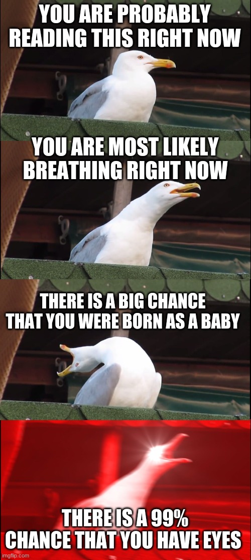 THere is chance that you are reading this right now | YOU ARE PROBABLY READING THIS RIGHT NOW; YOU ARE MOST LIKELY BREATHING RIGHT NOW; THERE IS A BIG CHANCE THAT YOU WERE BORN AS A BABY; THERE IS A 99% CHANCE THAT YOU HAVE EYES | image tagged in memes,inhaling seagull | made w/ Imgflip meme maker