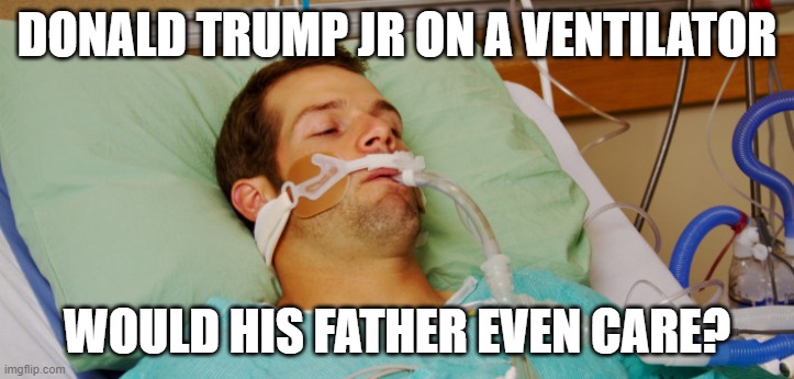 What Kind of a Father Makes His Entire Family Sick?  ON PURPOSE! | DONALD TRUMP JR ON A VENTILATOR; WOULD HIS FATHER EVEN CARE? | image tagged in super spreader,liar,psychopath,pandemic,coronavirus,covid-19 | made w/ Imgflip meme maker