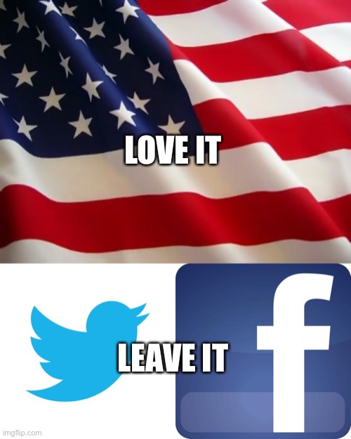 Tell Dors and the Zuck to suck it | LOVE IT; LEAVE IT | image tagged in american flag,twitter birds says,facebook | made w/ Imgflip meme maker