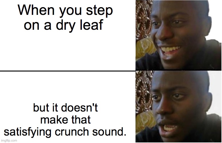 A Meme for Autumn | When you step on a dry leaf; but it doesn't make that satisfying crunch sound. | image tagged in disappointed black guy,leafs | made w/ Imgflip meme maker