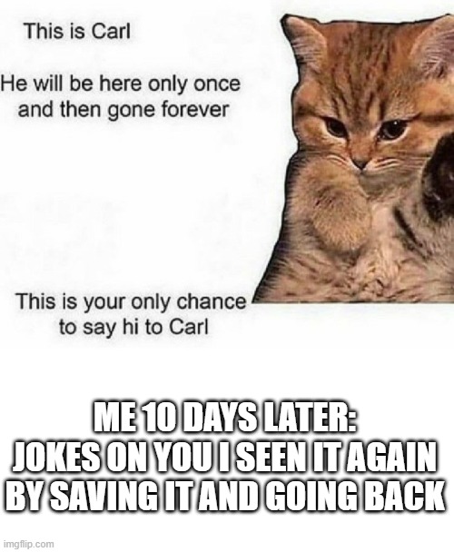 ME 10 DAYS LATER: JOKES ON YOU I SEEN IT AGAIN BY SAVING IT AND GOING BACK | image tagged in memes | made w/ Imgflip meme maker