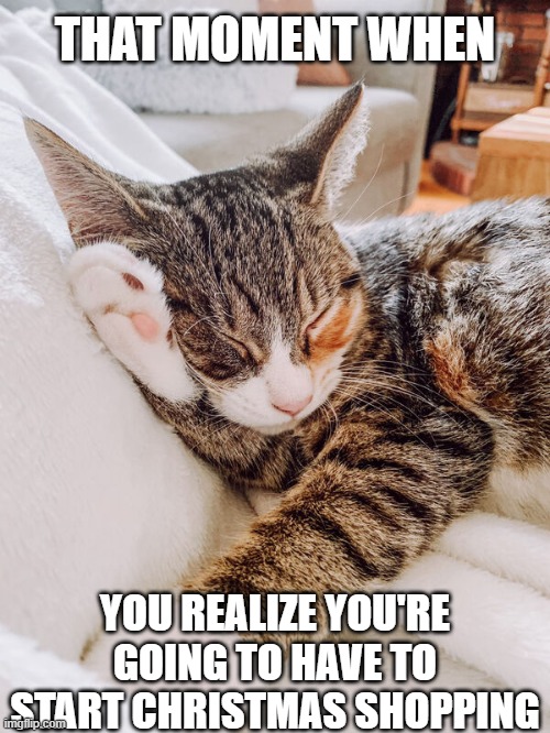 I dread it every year | THAT MOMENT WHEN; YOU REALIZE YOU'RE GOING TO HAVE TO START CHRISTMAS SHOPPING | image tagged in cats,christmas,holidays,shopping,dread,presents | made w/ Imgflip meme maker
