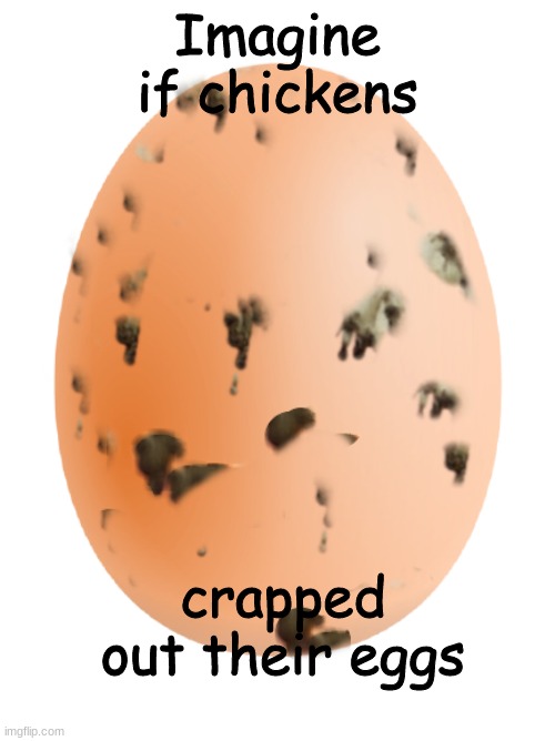 Imagine it tho | Imagine if chickens; crapped out their eggs | image tagged in chicken,what a terrible day to have eyes,eggs | made w/ Imgflip meme maker