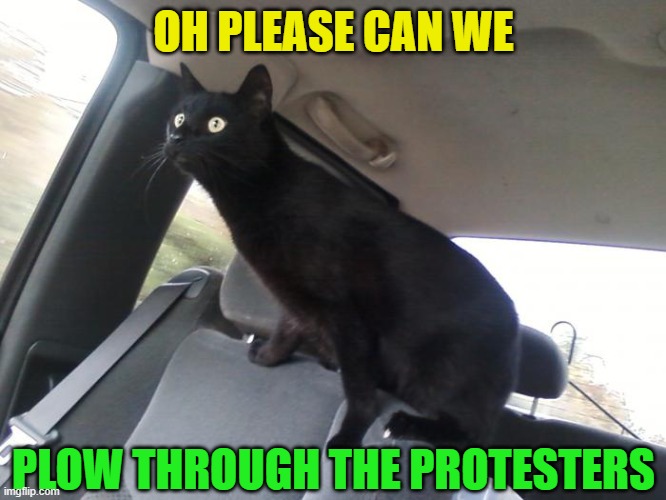 To the idiots blocking highways and interstates | OH PLEASE CAN WE; PLOW THROUGH THE PROTESTERS | image tagged in protesters,retarded liberal protesters,liberals,protests,maga | made w/ Imgflip meme maker