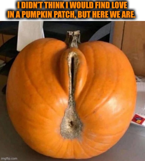 If that doesn’t make you lick your lips, you have issues | I DIDN’T THINK I WOULD FIND LOVE IN A PUMPKIN PATCH, BUT HERE WE ARE. | image tagged in dirty pumpkin,crack,love,ewwww,what the hell,dark humor | made w/ Imgflip meme maker