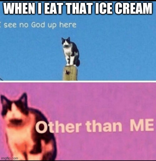 I see no god up here other than me | WHEN I EAT THAT ICE CREAM | image tagged in i see no god up here other than me | made w/ Imgflip meme maker