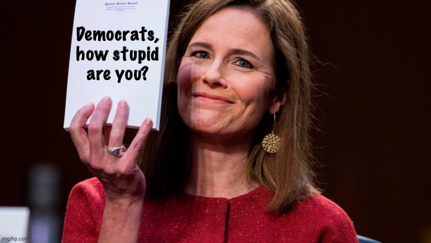 Amy Coney Barrett, the best! | Democrats,
how stupid
are you? | image tagged in supreme court,democrat party,democratic socialism,president trump,election 2020,donald trump | made w/ Imgflip meme maker