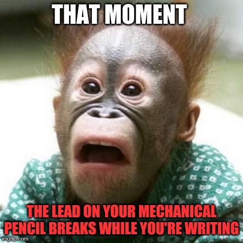 Shocked Monkey | THAT MOMENT; THE LEAD ON YOUR MECHANICAL PENCIL BREAKS WHILE YOU'RE WRITING | image tagged in shocked monkey | made w/ Imgflip meme maker