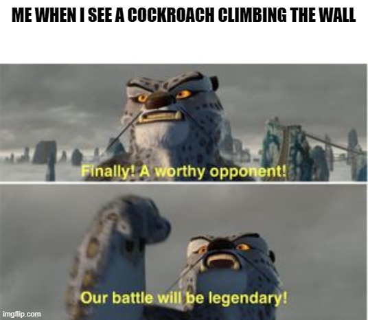 legendary battle | ME WHEN I SEE A COCKROACH CLIMBING THE WALL | image tagged in memes | made w/ Imgflip meme maker