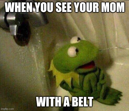 Moms | WHEN YOU SEE YOUR MOM; WITH A BELT | image tagged in kermit crying terrified in shower | made w/ Imgflip meme maker