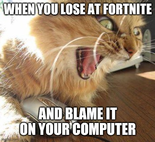 angry cat | WHEN YOU LOSE AT FORTNITE; AND BLAME IT ON YOUR COMPUTER | image tagged in angry cat | made w/ Imgflip meme maker