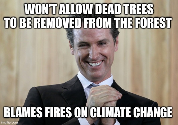 The land of fruits, nuts and flakes | WON’T ALLOW DEAD TREES TO BE REMOVED FROM THE FOREST; BLAMES FIRES ON CLIMATE CHANGE | image tagged in scheming gavin newsom | made w/ Imgflip meme maker