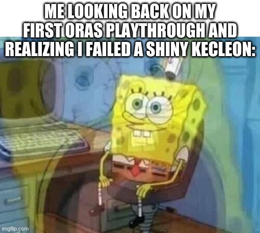 WHY WAS I SO DUMB?!? | ME LOOKING BACK ON MY FIRST ORAS PLAYTHROUGH AND REALIZING I FAILED A SHINY KECLEON: | image tagged in internal screaming | made w/ Imgflip meme maker